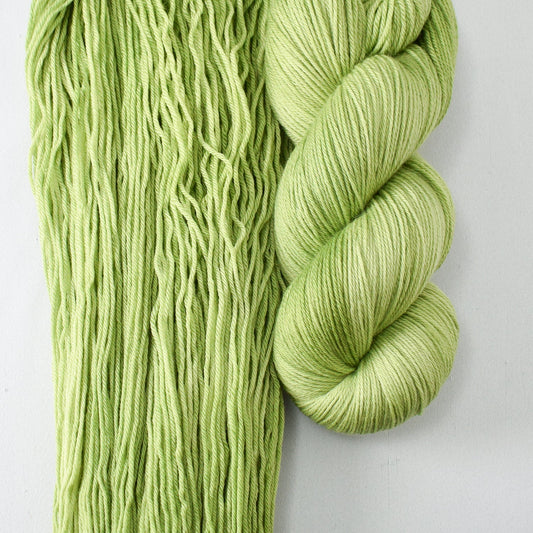 Inchworm - Miss Babs Yowza superwash Merino wool yarn