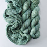 In The Meadow - Miss Babs Putnam Merino wool and nylon sock yarn