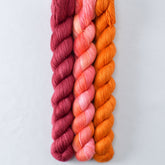 Kobold, Chasing Dawn, French Marigold - Miss Babs Sojourn Trio