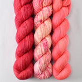 Lady Bug, Spotted Flowers, and Quince Blossom - Miss Babs Caroline Trio