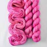 Make Believe - Miss Babs Yowza Mini yarn