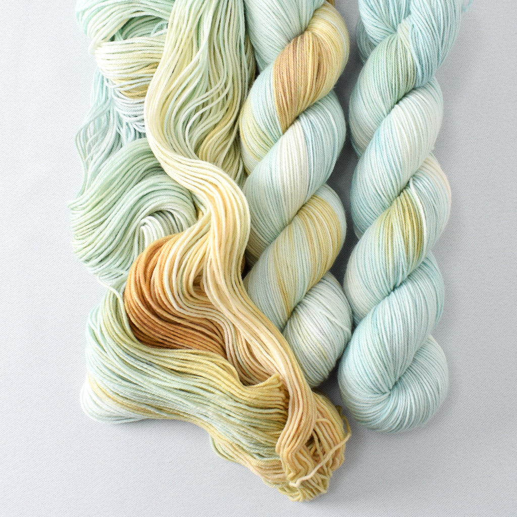 Mantis - Miss Babs Putnam Merino wool and nylon sock yarn