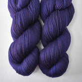 Midnight Velvet - Yowza - Wild Iris