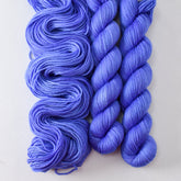 Morning Glory - Miss Babs Yowza Mini superwash Merino wool yarn