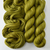 Moss - Miss Babs Tarte wool blend sock yarn