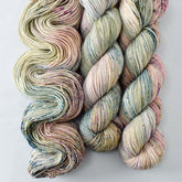 Mountain Meadow - Miss Babs Putnam Merino wool and nylon sock yarn