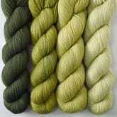 Nori, Thyme, Snakehead, and Frog Belly - Miss Babs Avon Quartet