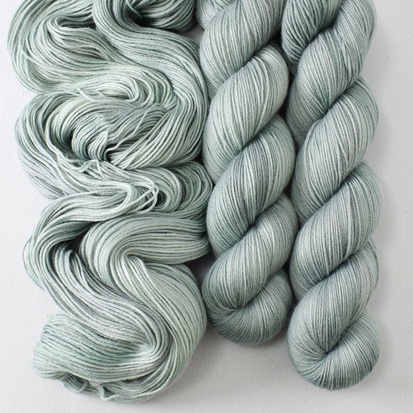 Oak Moss - Miss Babs Tarte wool blend sock yarn