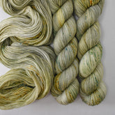 Off the Charts - Miss Babs Caroline yarn