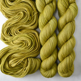 Olive Tree - Miss Babs Avon yarn