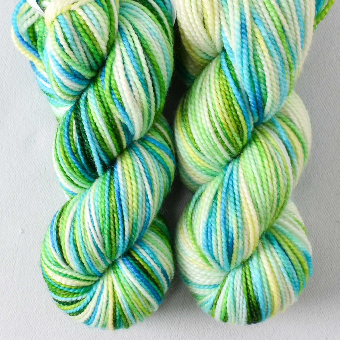 Orinoco - Miss Babs Yummy 2-Ply Toes superwash Merino wool yarn