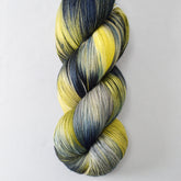 Phantom Festival - Miss Babs Katahdin yarn