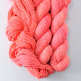 Pink Grapefruit - Miss Babs Putnam Merino wool and nylon sock yarn
