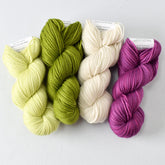 Professor Fungi 4-Toe Set: Goldfinch, Dragon Claw, White Peppercorn, and Carmen - Miss Babs Gnome Set