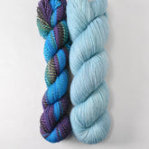 Pyschedelic and Forever - Miss Babs Junction Fiber Mill Making Tracks Lite and Killington Set