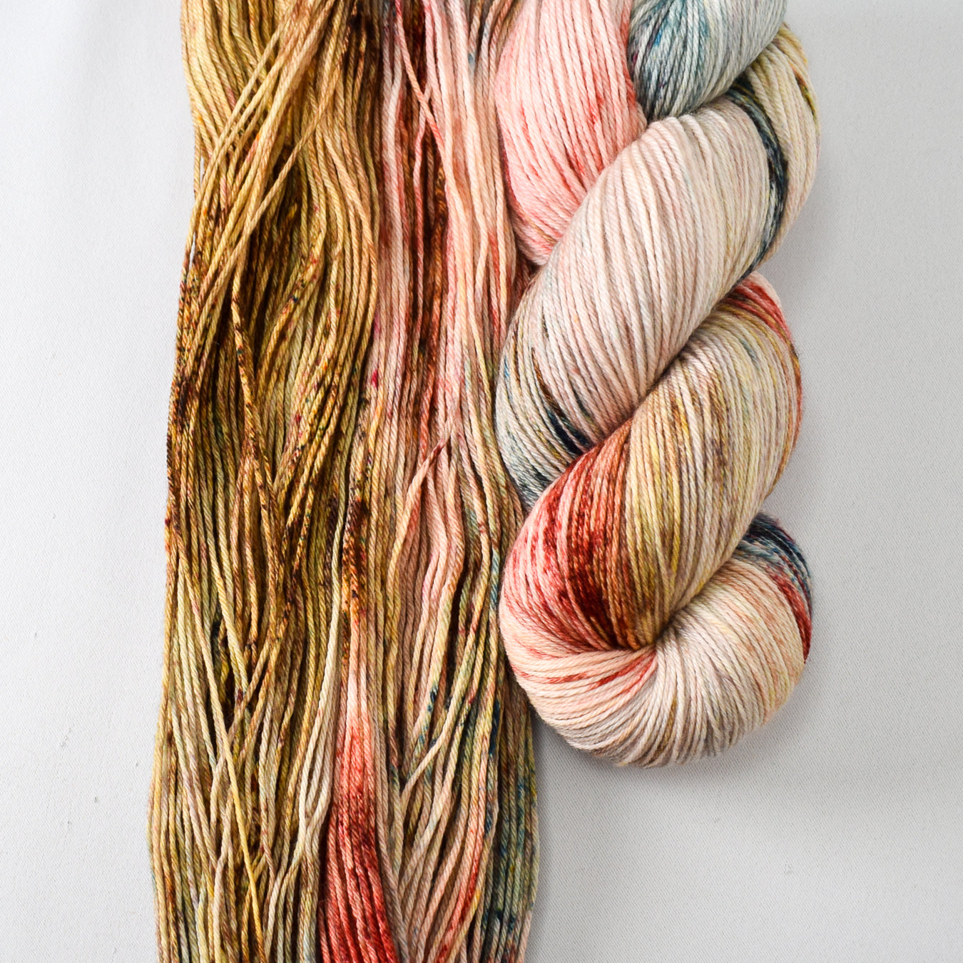 Rainbow Trout - Miss Babs Yowza yarn