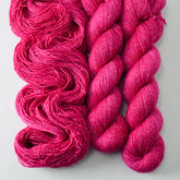 Rasberry Sorbet - Estrellita - Wild Iris