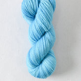 Reiteration - Miss Babs Yummy 2-Ply Toes superwash Merino wool yarn