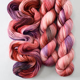 Rise and Shine - Miss Babs Tarte wool blend sock yarn