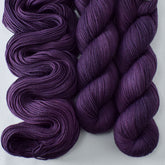 Sagrada - Miss Babs Laurel Falls Shaniko Merino wool yarn