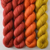 Sapsucker, Torchbearer, and Cumin - Miss Babs Photo 51: The DNA Shawl Set