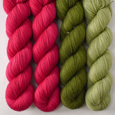 Scarlet Pimpernel, Terrapin Station, and Pond Slider - Miss Babs Photo 51: The DNA Shawl Set