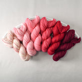 Scavenger Hunt - Miss Babs Gradient Set