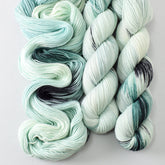 Sea Life - Miss Babs Putnam yarn