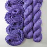 Sign of the Times - Miss Babs Estrellita yarn