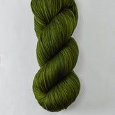 Silas - Miss Babs Yowza yarn