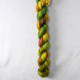 Skye - Miss Babs Sojourn yarn