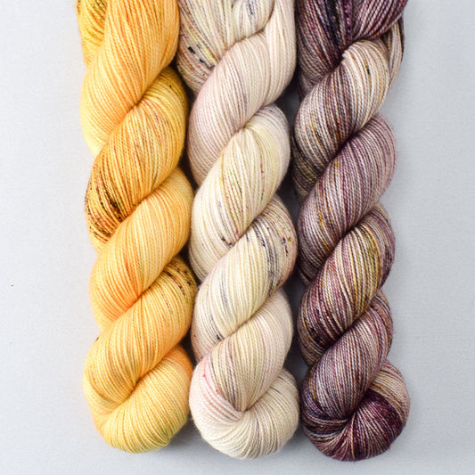 Snow Crocus, Tea Time Frenzy, Atumn Toad Lily - Miss Babs Yummy 2-Ply Trio
