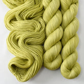 Sorrel - Miss Babs Yummy 2-Ply superwash Merino wool yarn