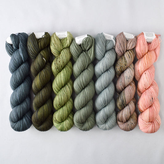 Special Edition 1328 - Miss Babs Yummy 2-Ply Fade Set