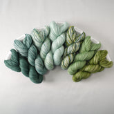 Special Edition 91 - Miss Babs Terra Maris Set