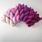 Special Edition 93 - Miss Babs Terra Maris Set