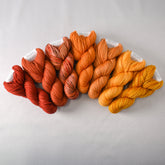 Special Edition 95 - Miss Babs Terra Maris Set