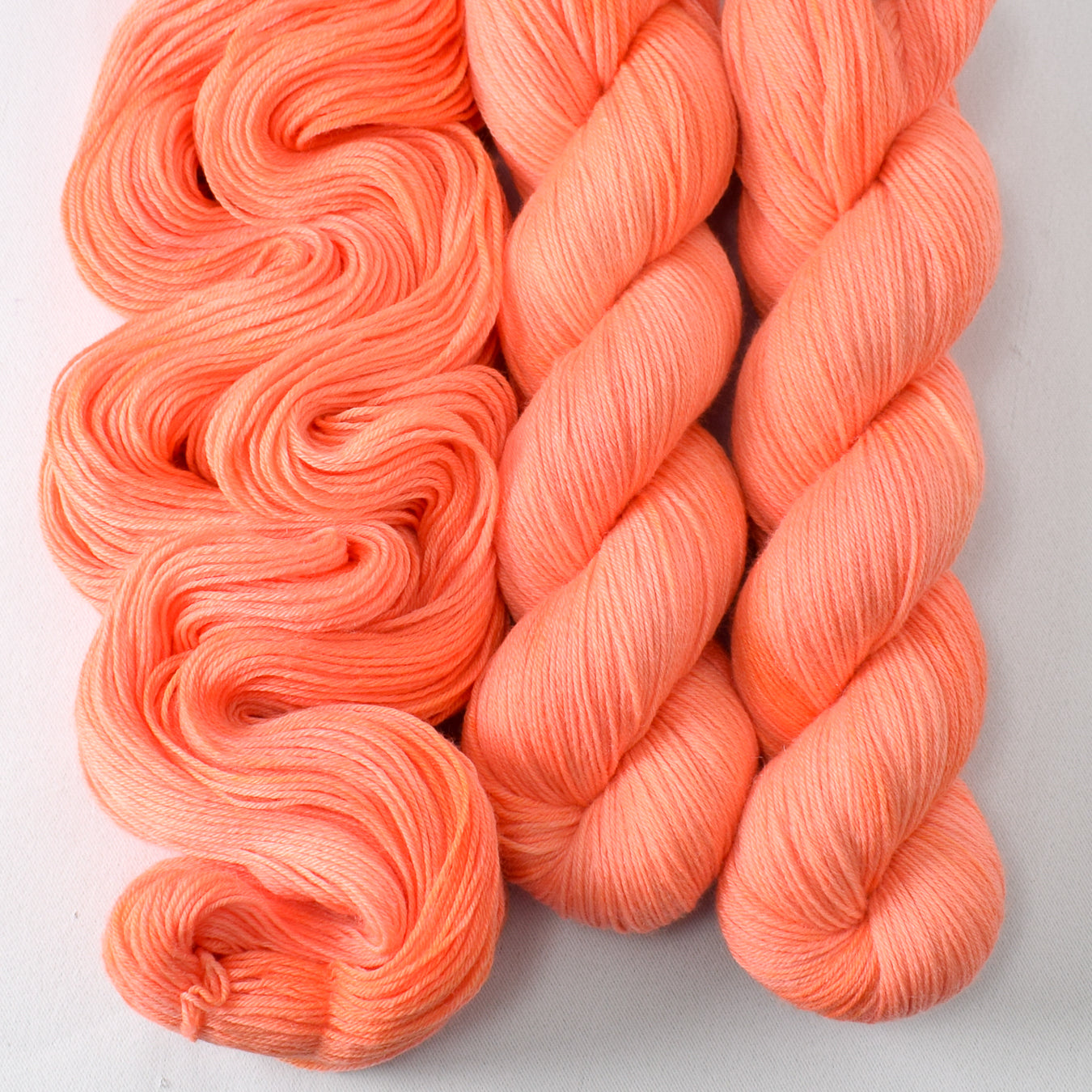 Spicy Papaya - Miss Babs Tarte wool blend sock yarn