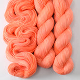Spicy Papaya - Miss Babs Tarte wool blend sock yarn