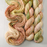 Spot On! - Miss Babs Estrellita yarn