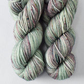 Spring at Pullen Park - Miss Babs Yummy 2-Ply Toes superwash Merino wool yarn