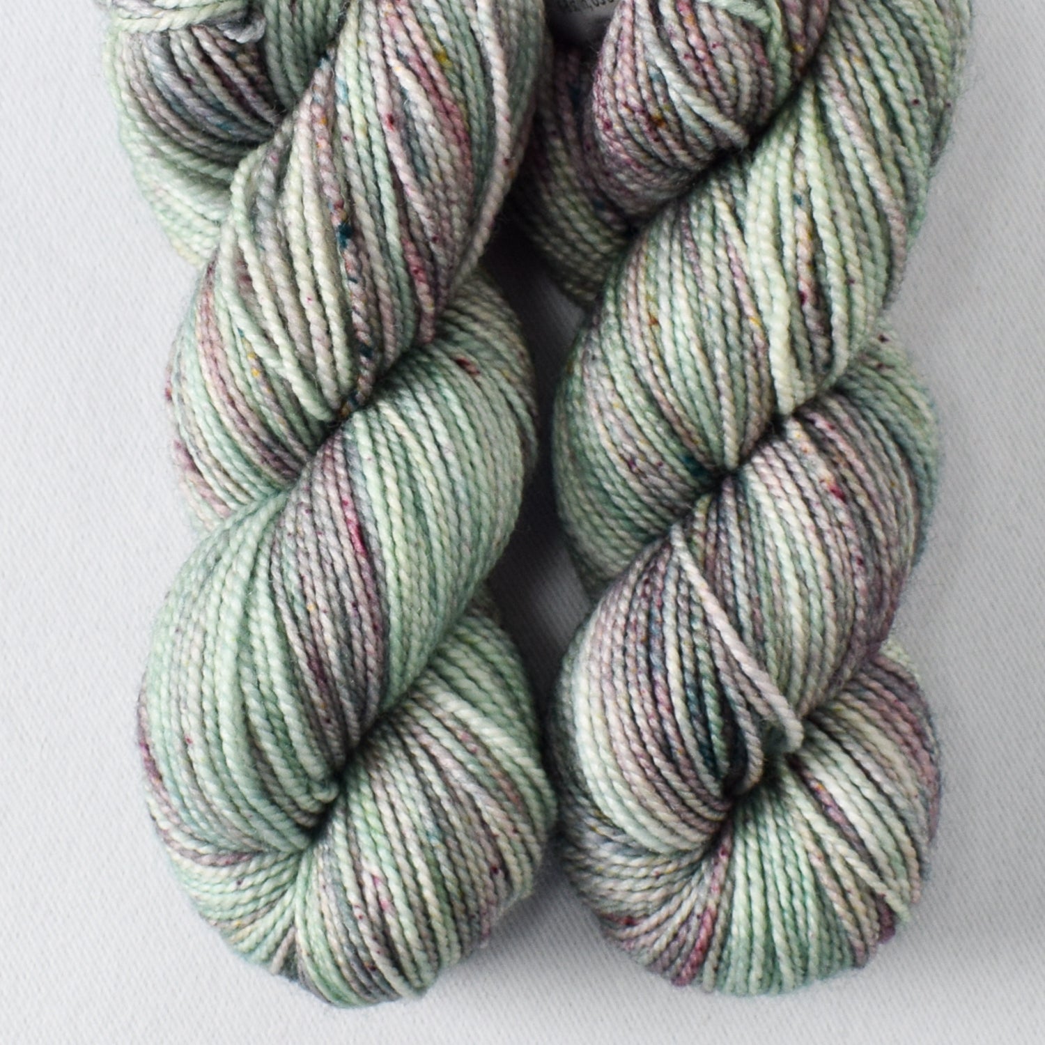 Spring at Pullen Park - Miss Babs Yummy 2-Ply Toes superwash Merino wool yarn