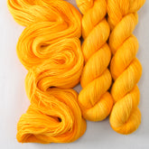 Squash Blossom - Miss Babs Katahdin 437 superwash BFL wool yarn