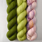 Teardrop, Aphid, and Radiant Cloudscape - Miss Babs Yummy 2-Ply Fillide Set