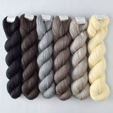 Temperate Forest - Miss Babs Katahdin 437 Set of Six