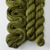 Terrapin Station - Miss Babs Yet yarn