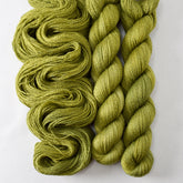 Thyme - Miss Babs Yet yarn