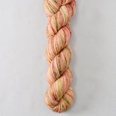 Tommy - Miss Babs Estrellita yarn