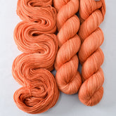 Torchbearer - Miss Babs Caroline merino-cashmere-nylon yarn