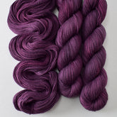 Tulipa - Miss Babs Putnam yarn